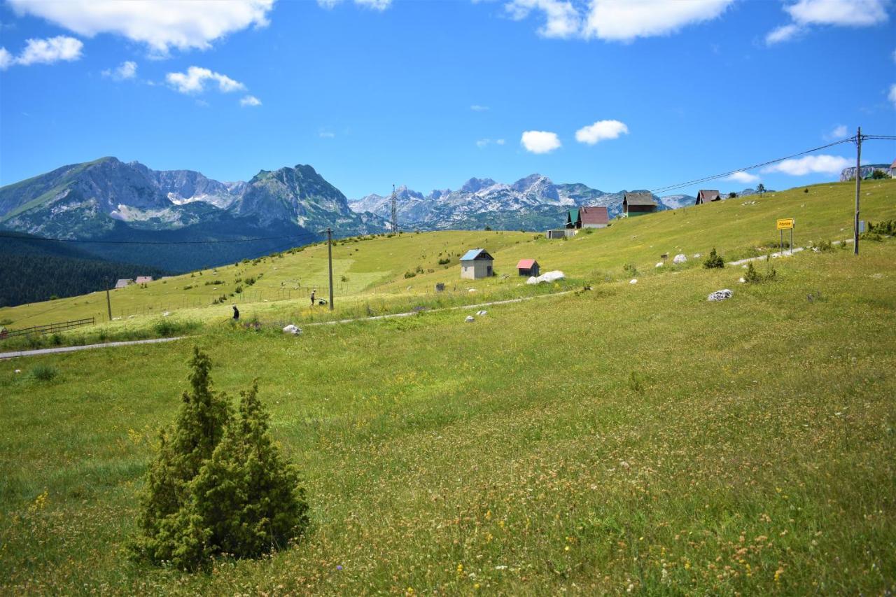 Durmitor View Villa ชาเบลียค ภายนอก รูปภาพ